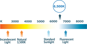 Light Color 6500K
