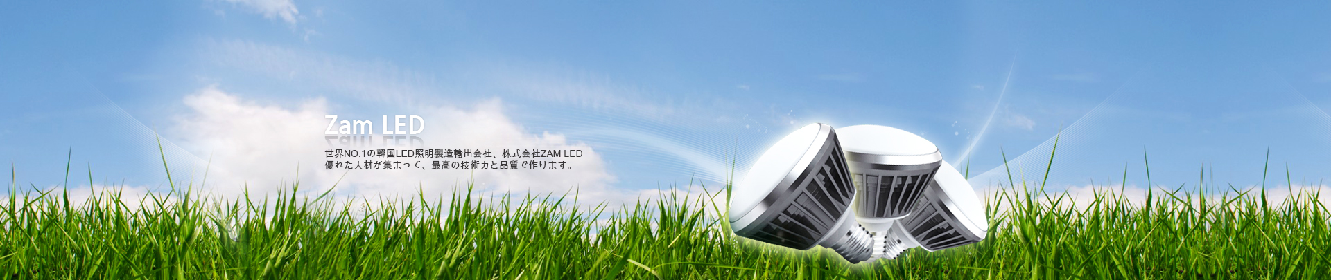 ZAM LED Visual Image - Japanese