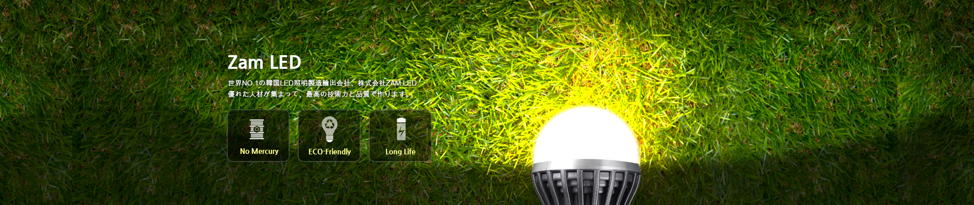 ZAM LED Visual Image - Japanese